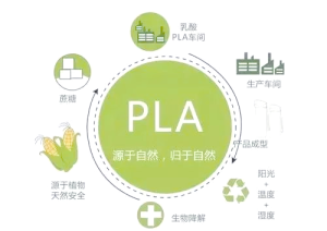 全面了解PLA：可降解材料的佼佼者