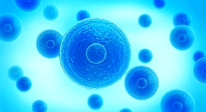探秘聚乳酸PLA：一种可生物降解的绿色塑料