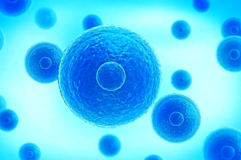探秘聚乳酸PLA：一种可生物降解的绿色塑料