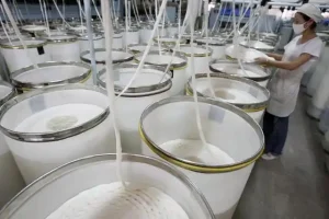 聚乳酸：环保未来的可降解高分子材料
