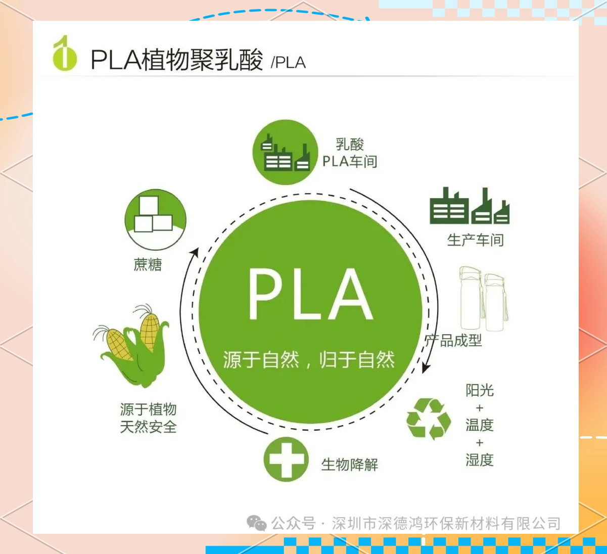 深入了解生物基全降解材料PLA：聚乳酸的多元特性与应用