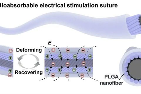 聚乳酸（PLA）：生物基材料的绿色革命与产业化进程