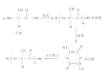 全面了解PLA：可降解材料的佼佼者