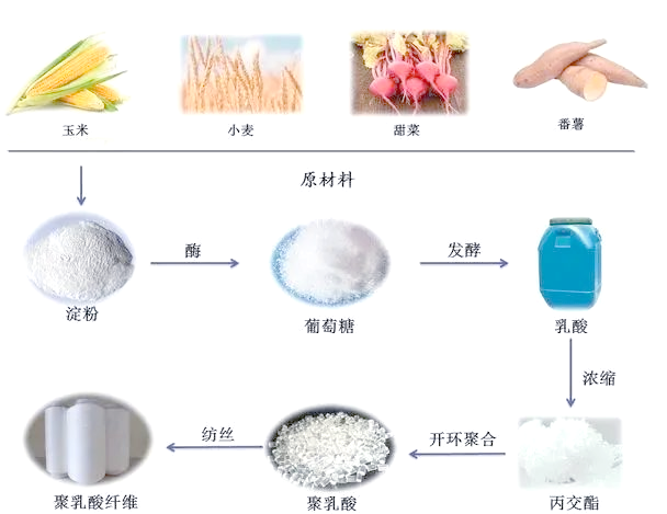 全面了解PLA：可降解材料的佼佼者