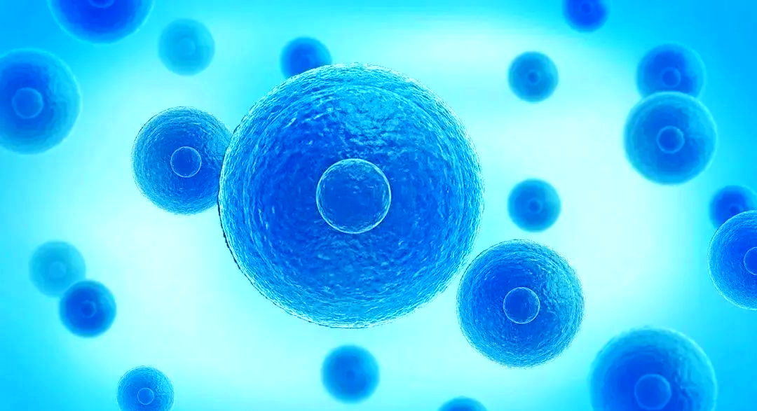 探秘聚乳酸PLA：一种可生物降解的绿色塑料