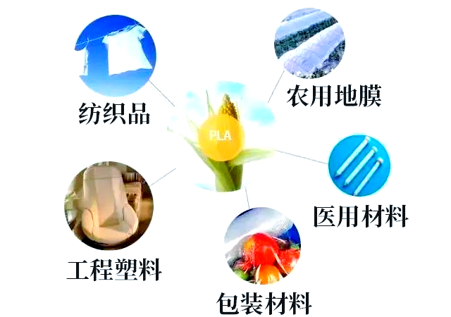探秘聚乳酸PLA：一种可生物降解的绿色塑料